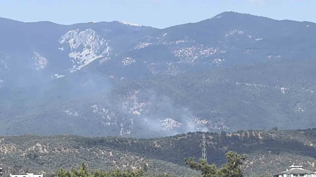 Kazdağı Milli Parkı'ndaki orman yangını kontrol altında