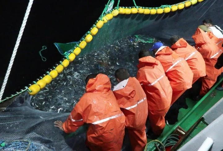 İstanbul'da balıkçılar ‘Vira Bismillah’ diyerek denize açıldı