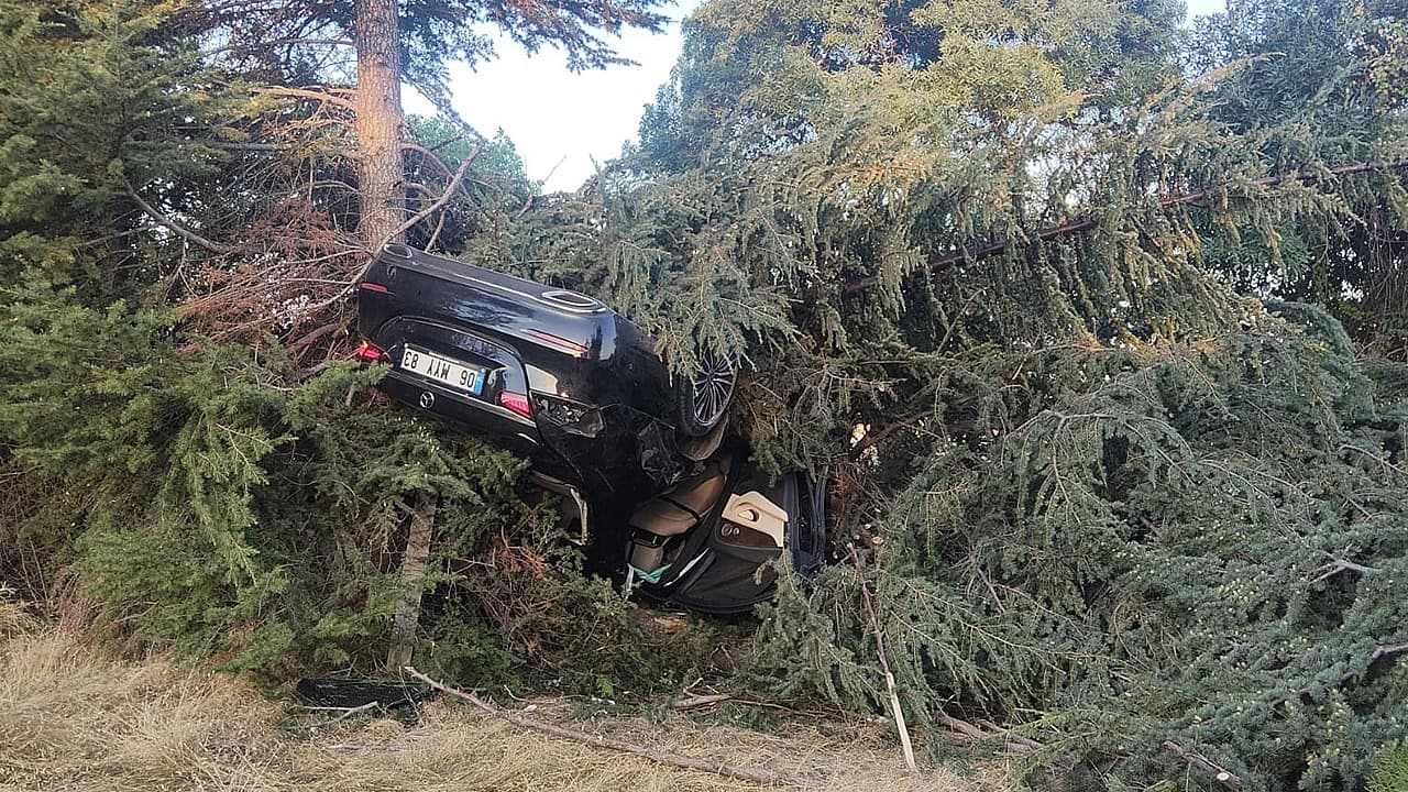 Elazığ’da otomobil ağaca çarptı: 1 yaralı