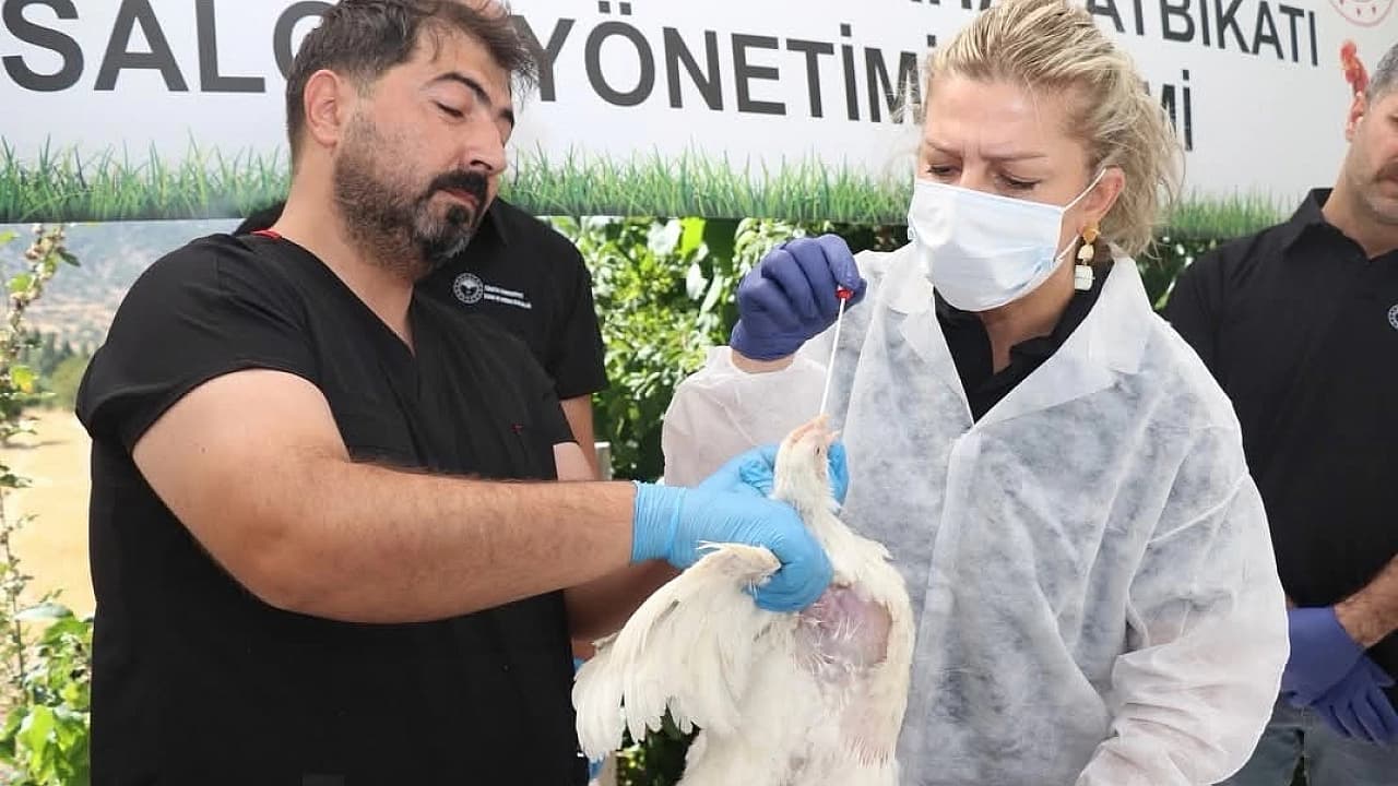 Elazığ’da Kuş Gribine Karşı Eğitim Verildi