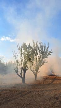 Kamışlı'da bomba yüklü kamyon patlatıldı: Çok sayıda ölü ve yaralı var