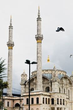 Erdoğan ilk kez açıkladı: Sizi Gülen ile görüştürelim