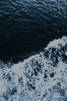 THE FİFTH WAVE İZLE
